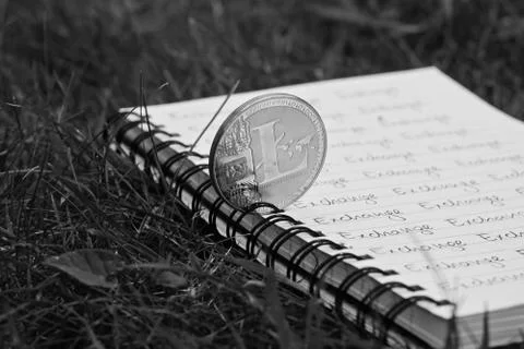 Litecoin exchange concept Stock Photos