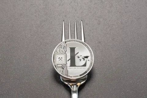 Litecoin Fork Concept Dark Gray Background Stock-Fotos