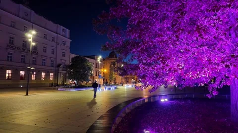 Litewski4 Stock Footage 320841210