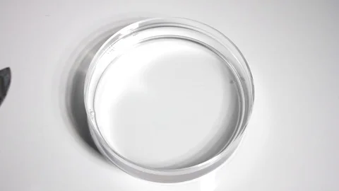 Lithium reacts with water Stock Footage 86226509