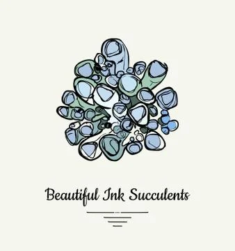 Lithops hand drawn succulent vector isolated illustration. Modern ink succule Stock Illustration