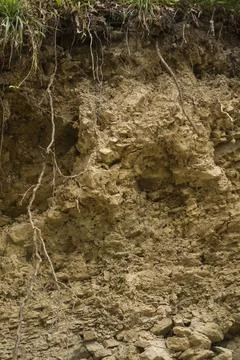 Lithosol soil Stock Photos