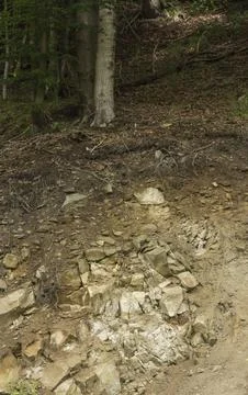 Lithosol soil Stock Photos