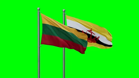 Lithuania and Brunei waving flags Stock Footage 292814674