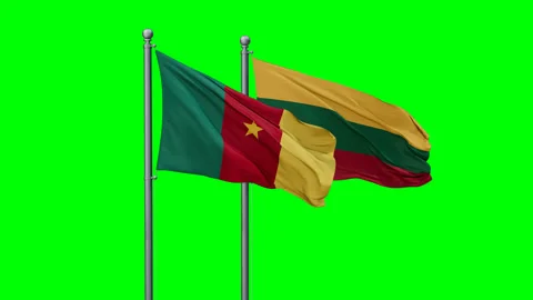 Lithuania and Cameroon two flags Stock Footage 292797151