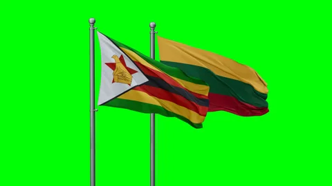 Lithuania and Zimbabwe two flags Stock Footage 293216170