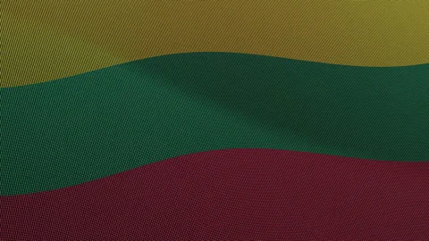 Lithuania Flag Digital Particle Waving Seamless Loop Animation on Black Bac.. Stock Footage 339303016