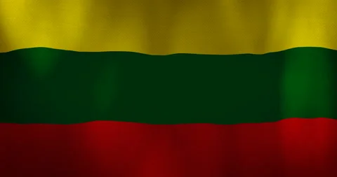Lithuania flag fabric texture waving in the wind. Stock Footage 95563231