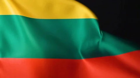 Lithuania Flag Flapping Stock Footage 118967020