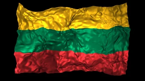 Lithuania flag Stock Footage 110821626