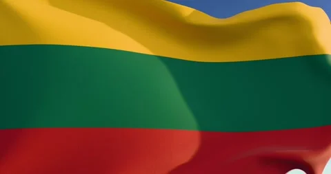 Lithuania flag Stock Footage 300206611