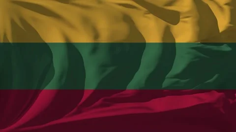 Lithuania Flag Loop Stock Footage 295748604