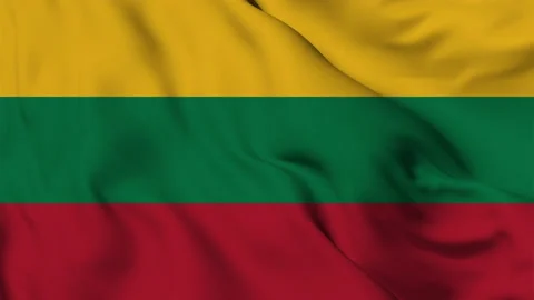 Lithuania flag seamless animation with fireworks Stock Footage 168214731