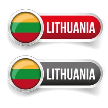 Lithuania flag silver button Illustrazione stock