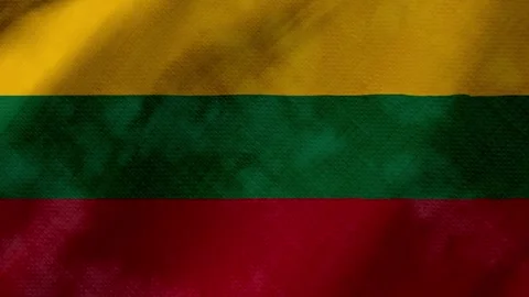 Lithuania flag waving background with real fabric texture 動画素材 291916677