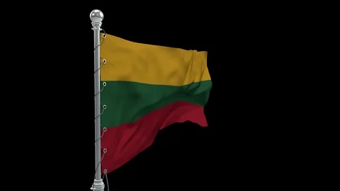 Lithuania Stock Footage 109111887