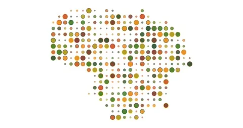 Lithuania Pixel Dot Art Animation Stock Footage 312475579