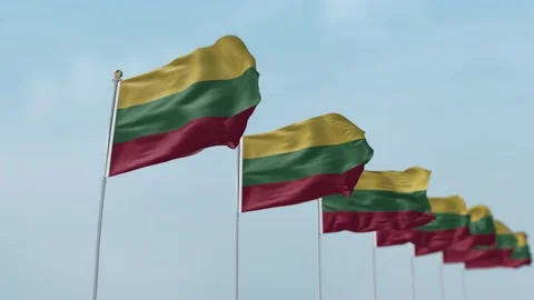 Lithuania Row Of Flags Animation Stock Footage 136216438