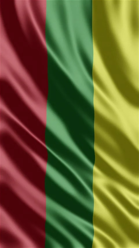 Lithuania waving flag Stock Footage 288004364