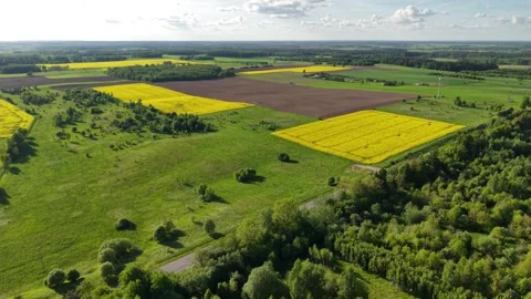 Lithuanian Countryside Aerial Patchwork of Fields and Meadows Video stock 337439187