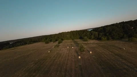 Lithuanian Fields FPV Green Sunset Stock Footage 308397020