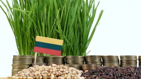 Lithuanian flag with stack of money coins and piles of wheat and rice seeds Stock Footage 71978508