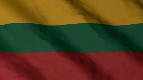 Lithuanian flag waving in the wind. Lithuania national flag video footage.	 Stock Footage 168470192