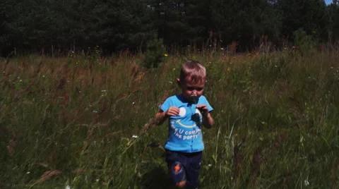 Litle boy in the field with flower Stock Footage 54662064