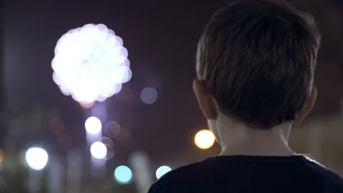 Litle boy looking at fireworks Vidéo 88884744