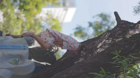 Litle child boy enjoy climbing outdoor playground exercise Stock Footage 284612343