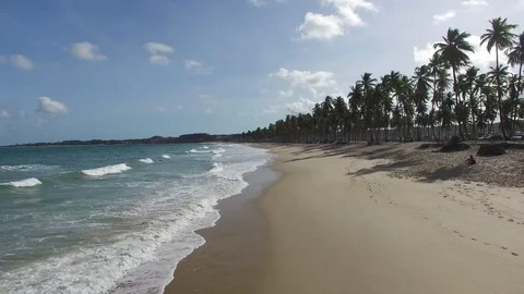 Litoral Brasileiro 库存影片 105467357