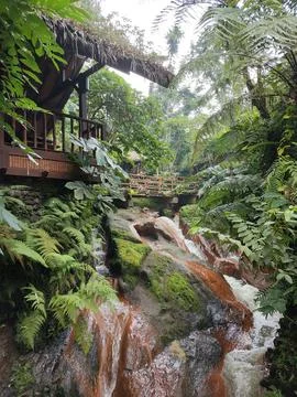 Litte hut in the forest 스톡 사진