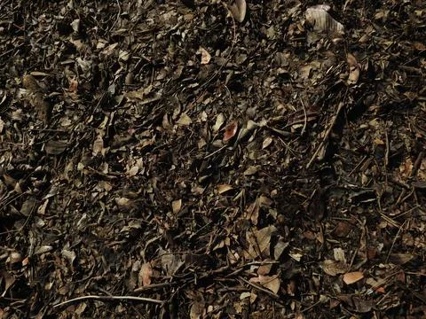 Litter abstract background Fotos de archivo