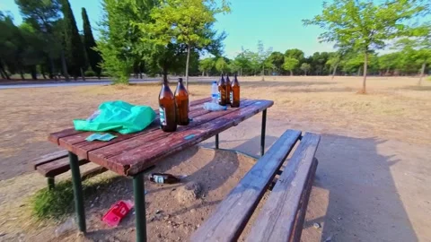 Litter and Empty Beer Bottles Left on Picnic Table in Park Stock Footage 345898774