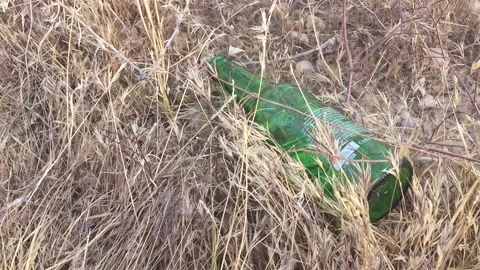 Litter and garbage in the desert Vídeo Stock 134906731