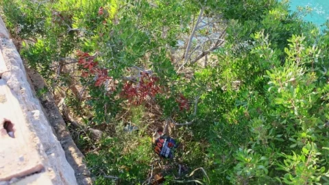 Litter and plastic waste left by tourists in nature near the sea in Spain Stock Footage 332127713