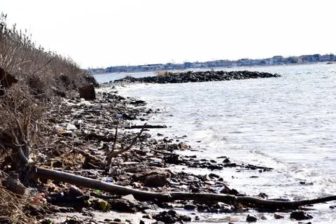 Litter and Pollution on the Beach Stock Photos
