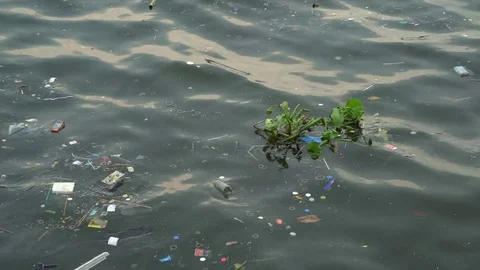 Litter and pollution floating on the surface of the Chao Phraya River Video stock 77206321