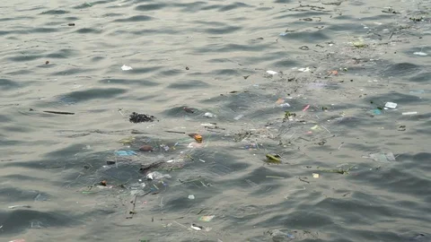 Litter and pollution floating on the surface of the Chao Phraya River Stock Footage 77206363