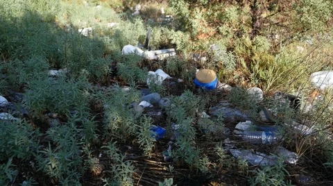 Litter and trash along a roadside Stock Footage 65820631