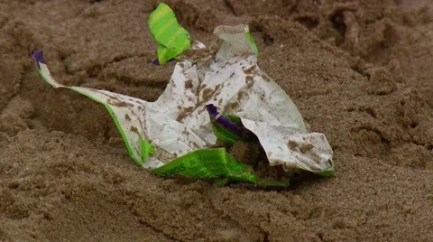 Litter on Beach Stock Footage 40747451