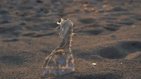 Litter on beach 動画素材 141533783