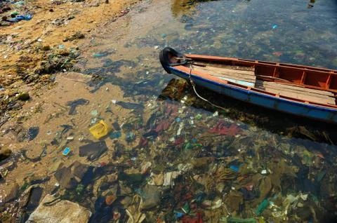 Litter at the beach. Stock Photos