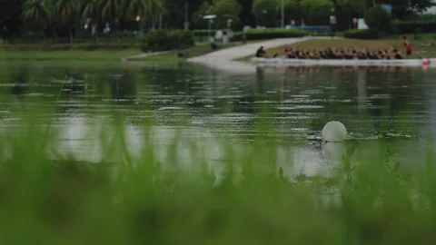 Litter with dragon boat in the background Vídeo Stock 254191325