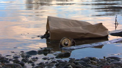 Litter floating near shore of river, close-up to wide view Stock Footage 59513157