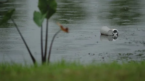 Litter floating on the river surface Vídeo Stock 254190833