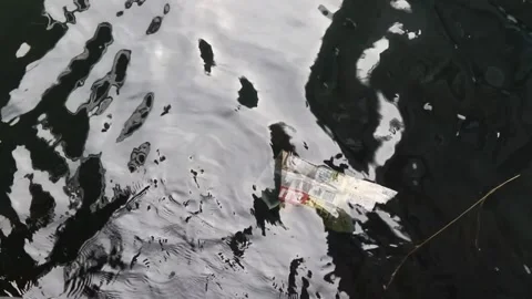 Litter floating in water Video stock 153025390