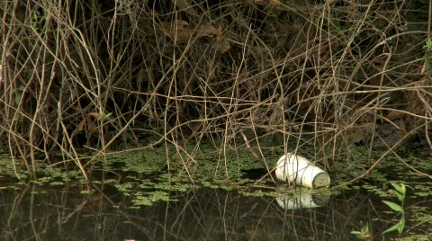 Litter Stock Footage 355769