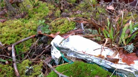 Litter impacts nature in a forest setting during a peaceful afternoon Stock-Footage 295337862