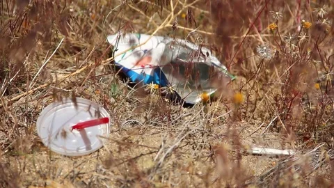 Litter in nature Stock Footage 83558098
